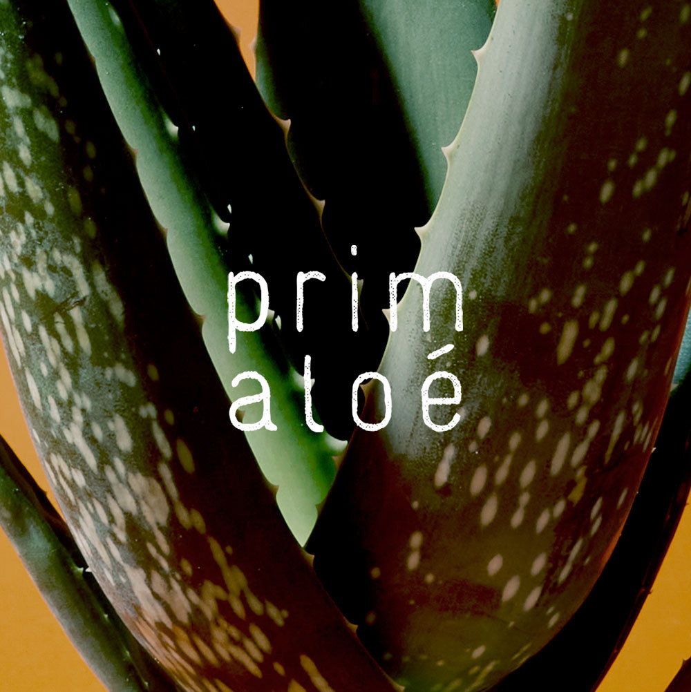 Prim Aloe